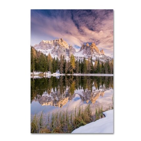 Trademark Fine Art Michael Blanchette Photography 'Grass On Shore' Canvas Art, 30x47 ALI3874-C3047GG